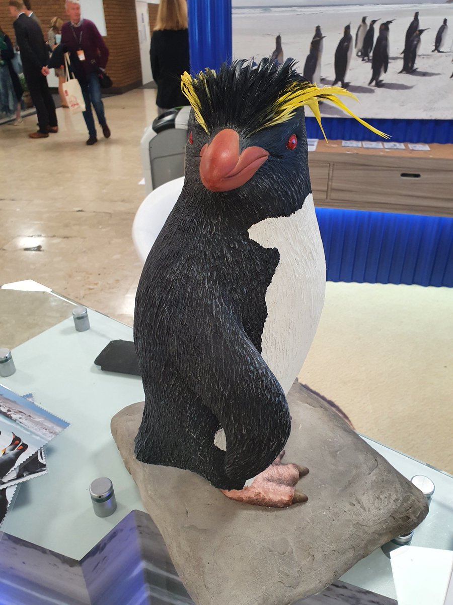 FalklandsRepUK's tweet photo. At this year's party conferences we have been joined by Rex the Rockhopper penguin. Whether it was it was Labour in Brighton or the Conservatives in Manchester, Rex was very popular! #Falklands #CPC21 #LPC21 #Penguins
@FI_Conservation https://t.co/sAQXRtTOCk