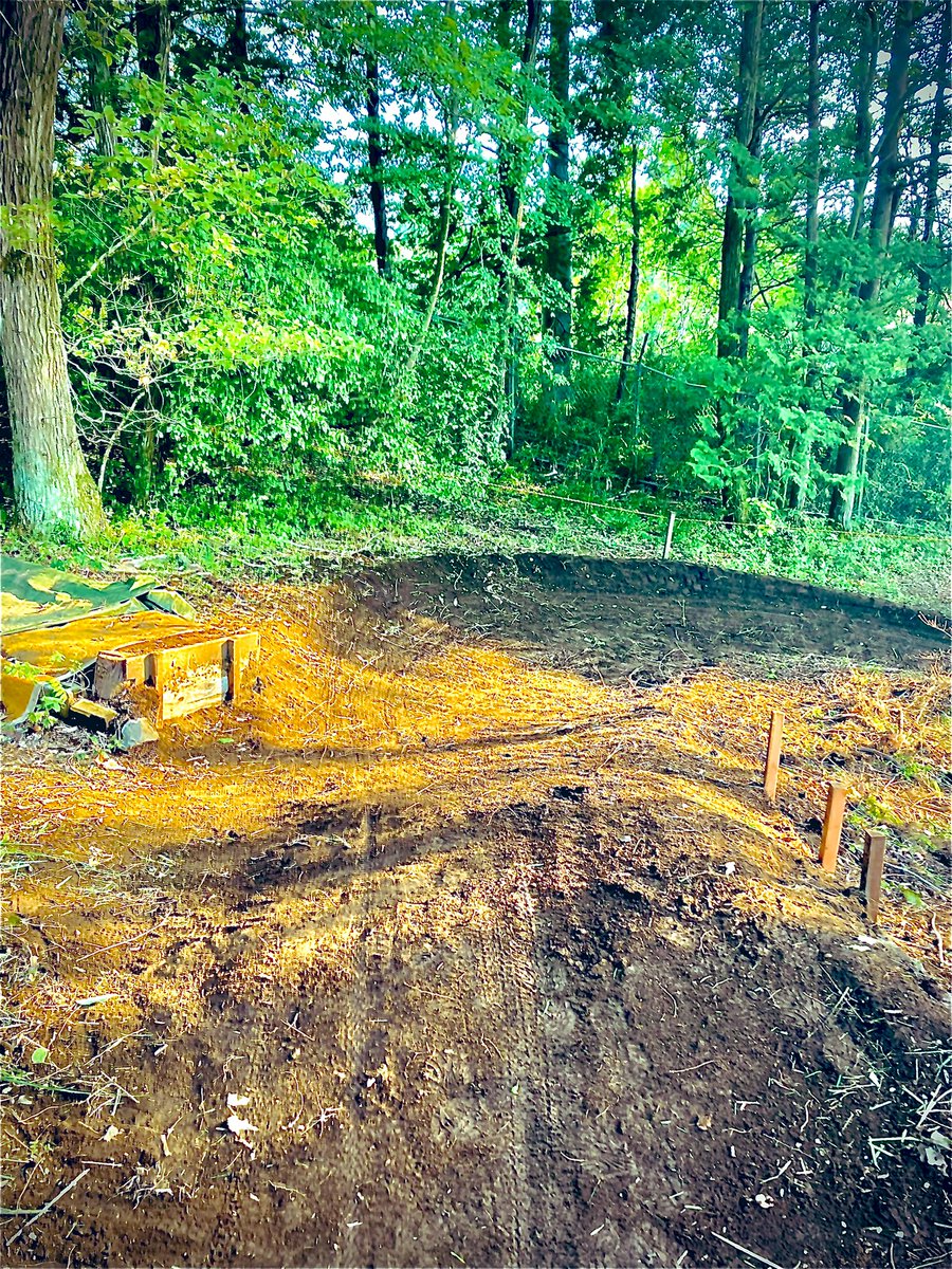 プロフェッショナルディガー tweet media