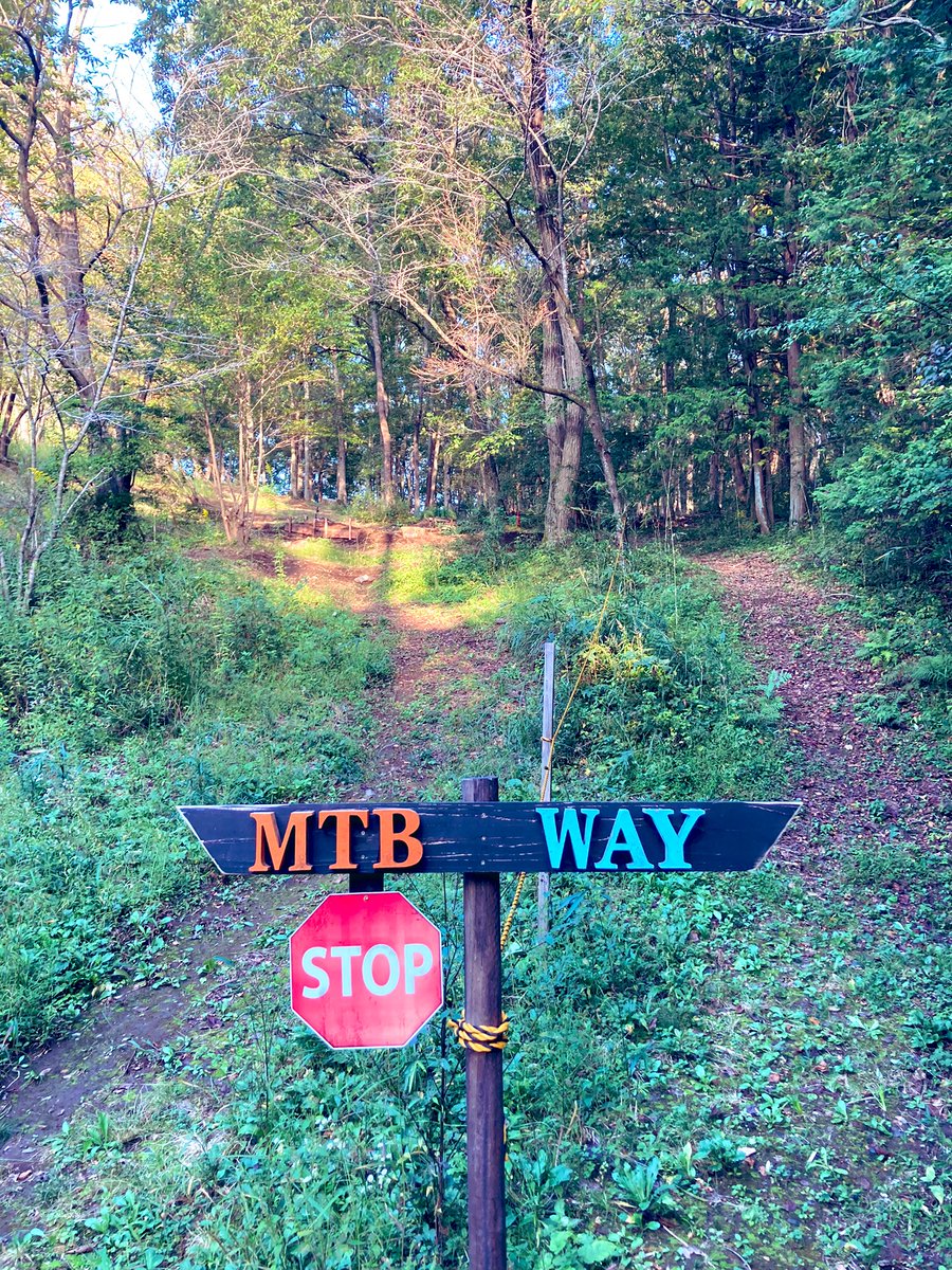 プロフェッショナルディガー tweet media