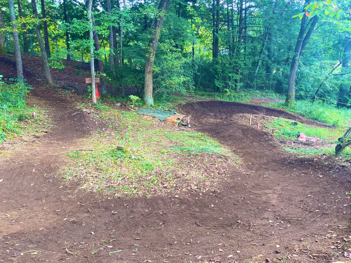 プロフェッショナルディガー tweet media