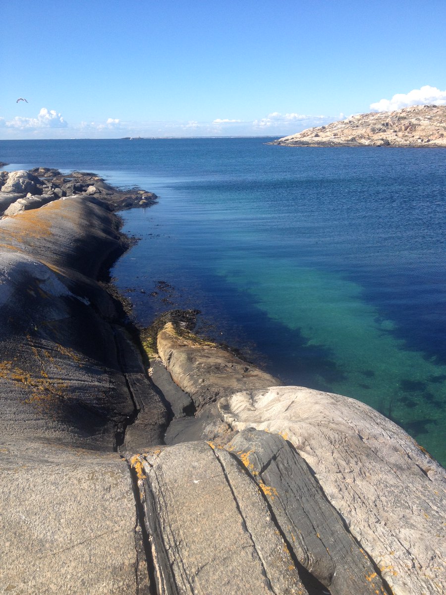 Land2Sea_'s tweet photo. Great diversity!🌊⛱️🦐☀️
It is #kosterhavet, one of @Land2Sea_ 's case studies! https://t.co/KPqFWgZuLf