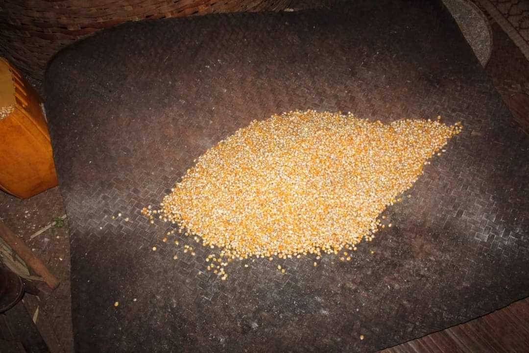 RvlBurma2's tweet photo. Villagers of Khomone in #Manmat Village Tract, Lashio Township, northern Shan State, are currently struggling to make ends meet due to the scarcity of jobs during the covid epidemic, & villagers are forced to cook corn instead of rice.@Refugees @WFP
#WhatsHappeningInMyanmar https://t.co/NUgZyutwtw