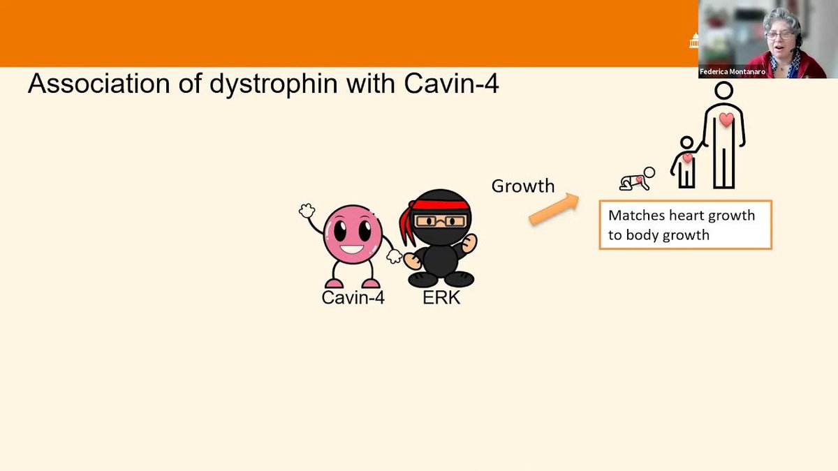 MDUK_News's tweet photo. Yesterday we held our #MusclesMatter21 seminar on #Becker muscular dystrophy. The seminar covered the advances in BMD research, access to psychological support and more. Watch the session in full on our website and YouTube channel 👇
https://t.co/OJTF8yS8TH
#BeckerAwarenessWeek https://t.co/byhacIaEZQ