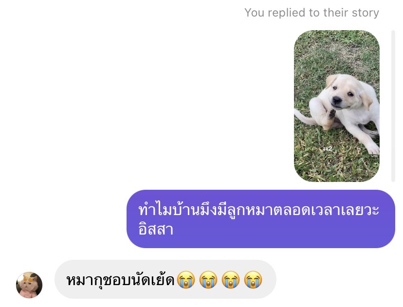 มึง 55555555555555555555555555