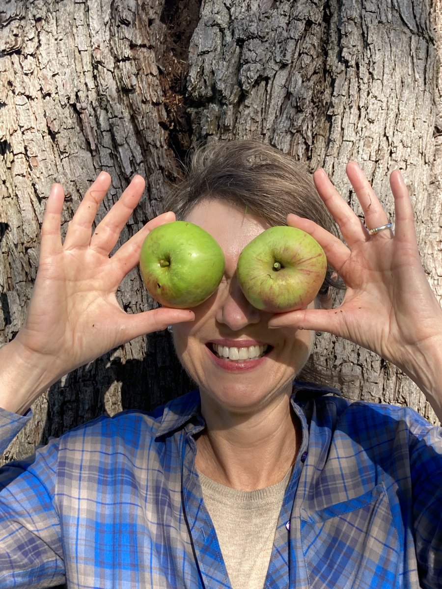 Pop-In Pick Your Own Mornings : SAT 13 NOV
Bring a bag or two &amp; fill up with different varieties to cook &amp; enjoy at home as well as meet some of our Orchardeers.  2nd &amp; 4th Sats of the month, 
10.30-12.30pm til December
#chippingcampden
#Cotswolds #orchard #foraging #naturelovers