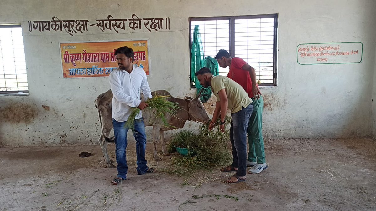 hada_abvp's tweet photo. भारतीय राष्ट्रीय युवा परिषद कोटा संभाग और ऑन ट्रैक संस्थान के सहयोग से सम्पूर्ण प्रदेश में आज अमावस्या के दिन पुनीत अन्नदान का कार्यक्रम आयोजित हुआ। @Nitin1524 @Creativemayank8 https://t.co/fzm5KIgu5Q