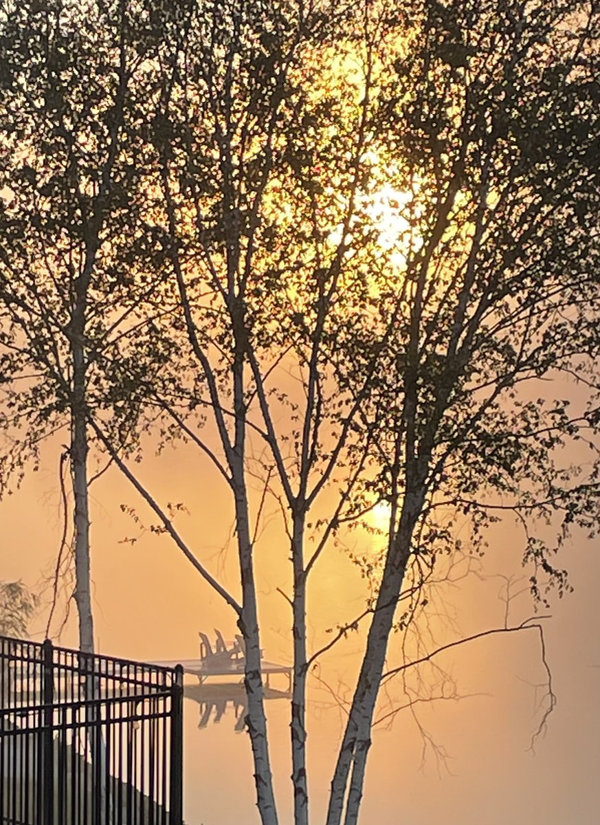 Mo_ha_lo's tweet photo. Beautiful, foggy sunrise on Chemong Lake https://t.co/GCctwqn9i6