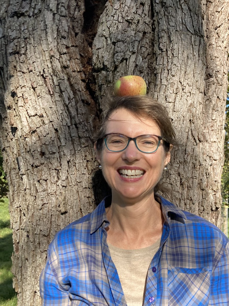 Pop-In Pick Your Own Mornings : TODAY
Bring a bag or two &amp; fill up with different varieties to cook &amp; enjoy at home as well as meet some of our Orchardeers.  2nd &amp; 4th Sats of the month, 
10.30-12.30pm til December
#chippingcampden
#Cotswolds #orchard #foraging
