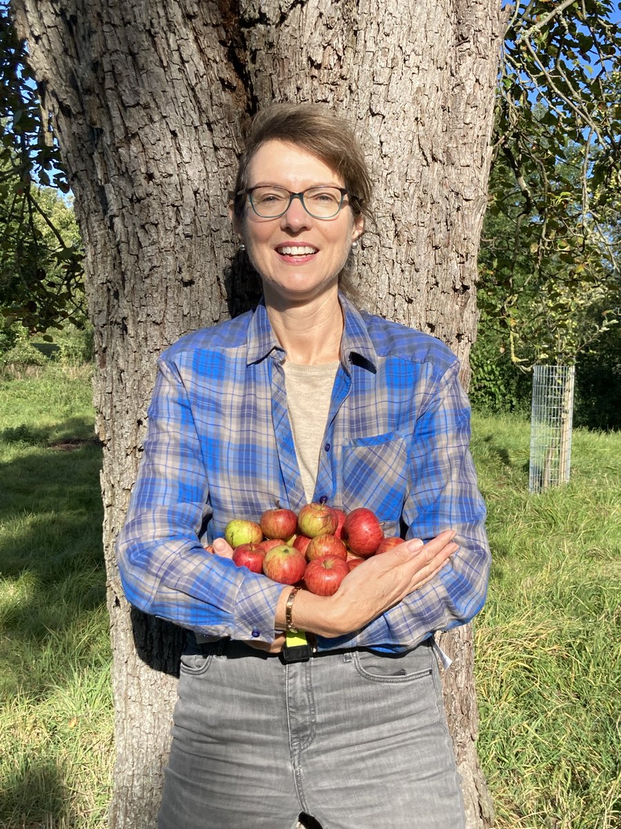 Pop-In Pick Your Own Mornings : TODAY
Bring a bag or two &amp; fill up with different varieties to cook &amp; enjoy at home as well as meet some of our Orchardeers.  2nd &amp; 4th Sats of the month, 
10.30-12.30pm til December
#chippingcampden
#Cotswolds #orchard #foraging