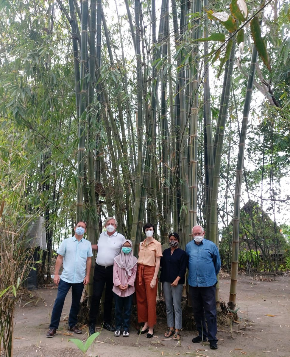 bambunusa_verde's tweet photo. October 5th, 2021
Visit from Embassy of Kingdom of Belgium Jakarta to Bambu Nusa Verde
#bambunusaverde #bamboonow #thinkbamboo #bamboo #bbitsolutions #plantbamboo #greengold https://t.co/KctXRywXVs