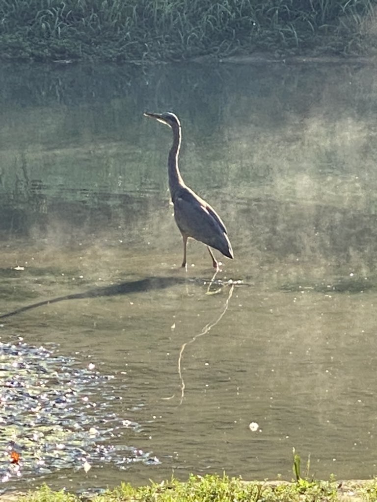LazyBaugus's tweet photo. A crisp morning at #LeviJacksonPark in #londonky #photography https://t.co/fgGOnRW0nj