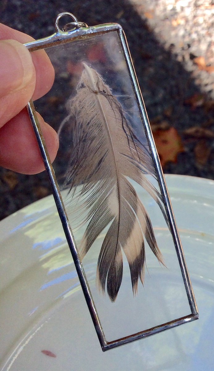 GothicGlass's tweet photo. Excited to share the latest addition to my #etsy #etsyvintage #etsycanada shop: #Handmade #Glass #MicroscopeSlide #FeatherOrnament #FeatherPendant #Kitsch #madeincanada #wednesday #FreeShippingSale #Canada #halloween https://t.co/18jx1kY5wm https://t.co/FNfy0JuFHW