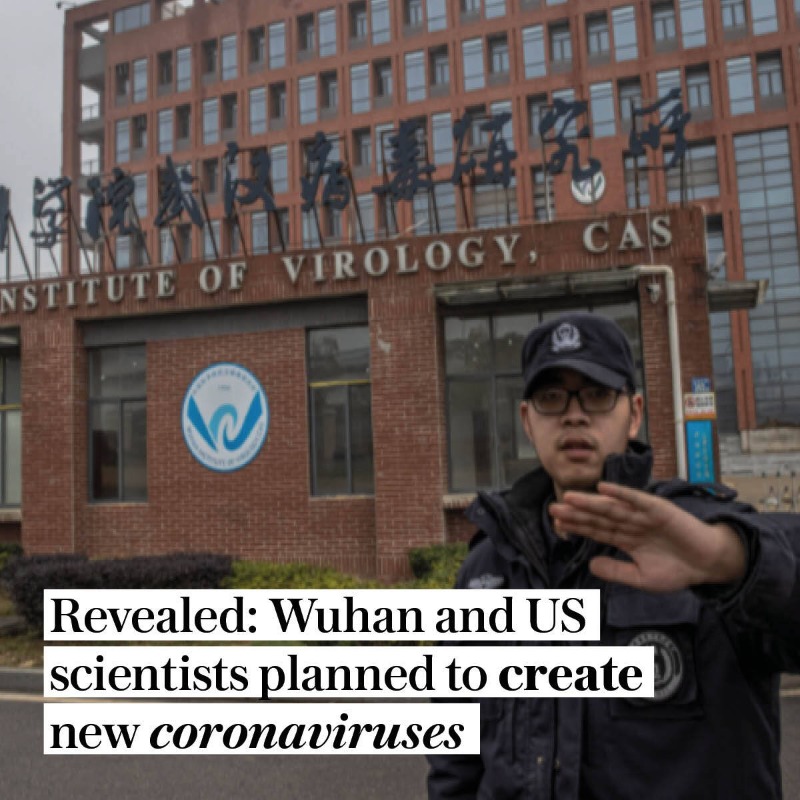 Telegraph's tweet photo. 🔴Scientists from Wuhan and the US were planning to create new coronaviruses that did not exist in nature, it has emerged. 

Proposals show they planned to combine the genetic codes of other viruses 

Thread ⬇️

https://t.co/EhtdIwjagz