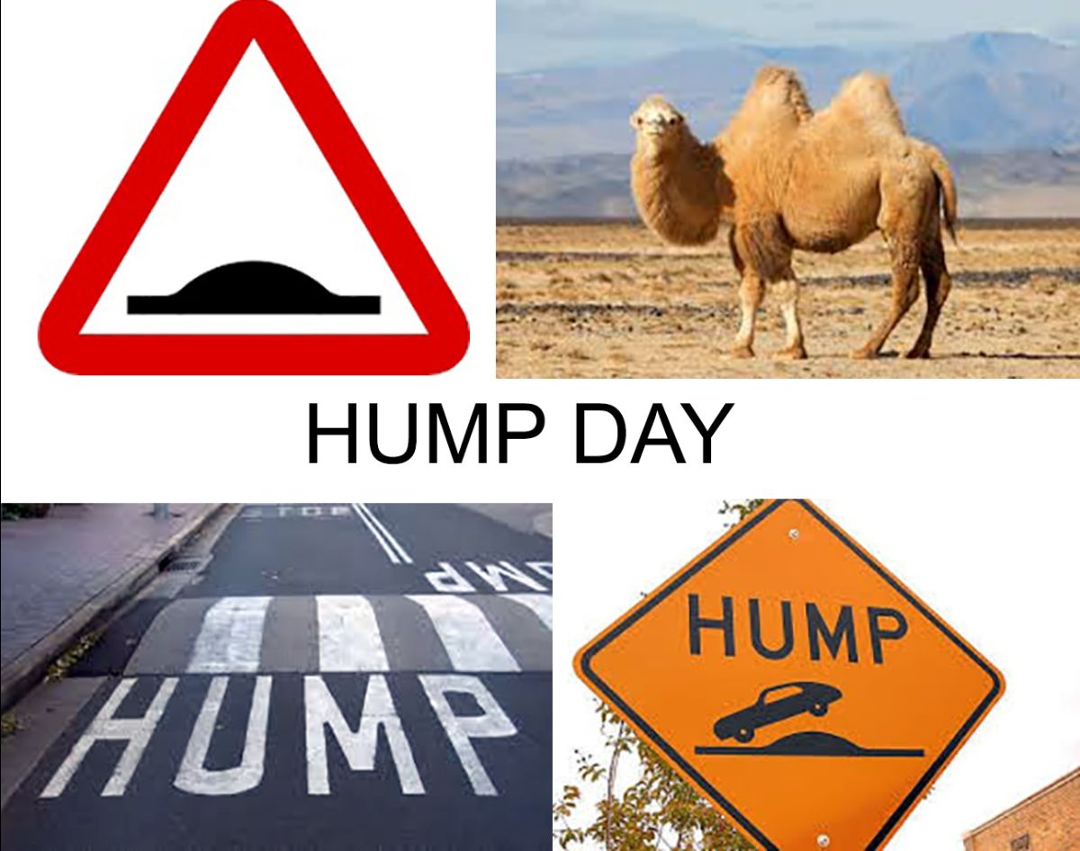 Itsyourstoryweb's tweet photo. We've got the HUMP... but in a good way. There's now more of the week behind us than ahead - YAY! And we think this is worth celebrating so have HALF PRICE books on us until the end of Friday.
  
Use code: HUMP to buy our books for HALF PRICE - https://t.co/JiWWMXsaCu https://t.co/mxFdrbm7cm