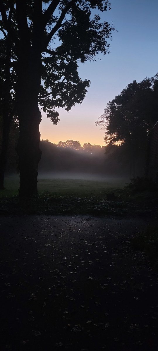 growingwisdom's tweet photo. My neighbors field is so beautiful sometimes. #groundfog https://t.co/1QRpmrDoml
