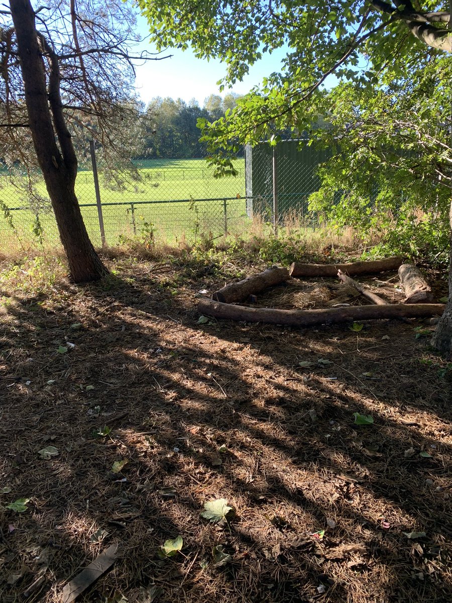 misswrightMS's tweet photo. Great work today from S2 Global Goals on their litter pick today! An incredible before and after for #Picktober ๐ฏ๐ฎ@BA_SocialSubs @Boness_Academy #DontDropItBinIt https://t.co/yw6Dp5lOWx