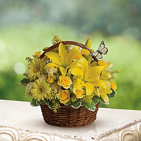 Basket Full Of Wishes

Wishes do come true, by the basketful, actually. This delightful arrangement is so full of sunny blossoms, it even includes a pretty yellow butterfly who obviously feels right at home, basking in the warmth.