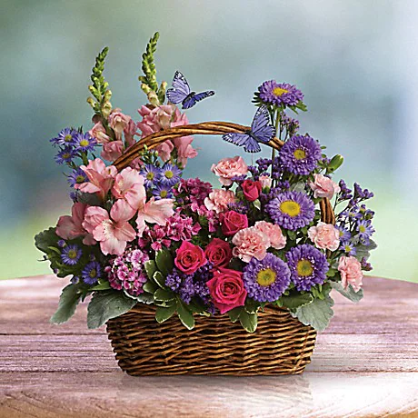 Country Basket Blooms

Talk about a bountiful basket! This wicker basket is overflowing with beauty and blossoms. It's no wonder two pretty butterflies have made this basket their home. This item can be designed in FALL flowers also! Just ask in special instructions.