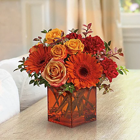 Teleflora's Sunrise Sunset

Sunrise, sunset, swiftly fly the days. So don't let another day go by without letting someone you know that you are thinking of them. This delightful arrangement will brighten anyone's morning, noon and night.