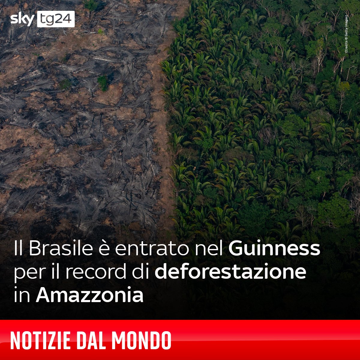 SkyTG24's tweet photo. In 17 anni, dal 2002 al 2019, sono stati distrutti 24,5 milioni di ettari di foreste tropicali https://t.co/IhcwY8wHwb https://t.co/ZNzirREDH3