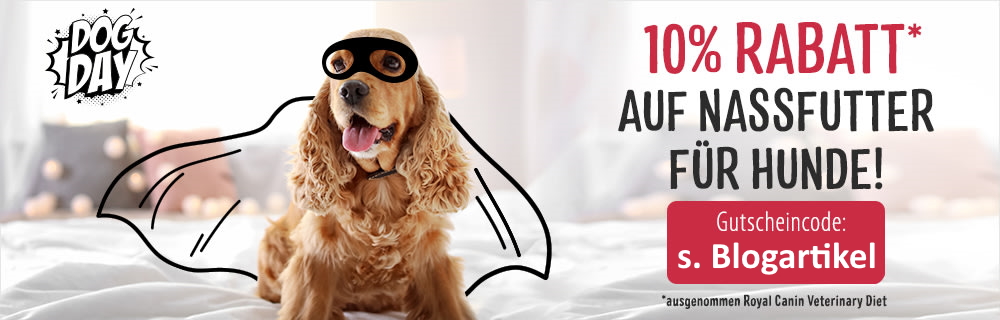 7_Tage_Kurs's tweet photo. RT @docgoy: Am 10.10.21 ist #Welthundetag! Viele Rabatte bei #ZooPlus: https://t.co/gMHg2a5RXS #Nassfutter #Hunde 🐕 https://t.co/6BSovdupNI