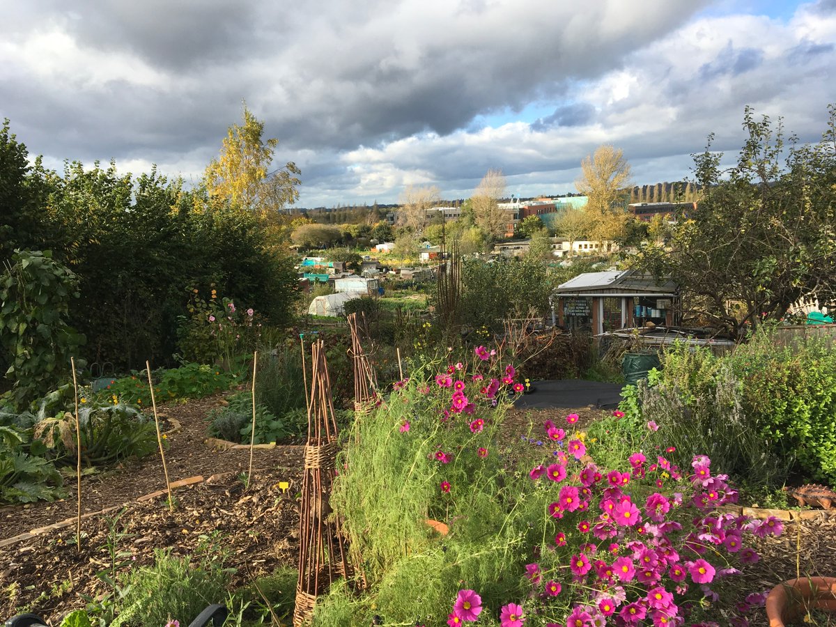 BoundaryWay's tweet photo. Join us this Saturday to find out more about our work during lockdown including nature inspired art by pupils from @headpennfields , plant inks, sustainable floristry, poetry & more
Part of #WolverhamptonOpenStudios
Drop in from 11-5pm
book via our profile for film show 7-8pm https://t.co/ApTe2mJiIc