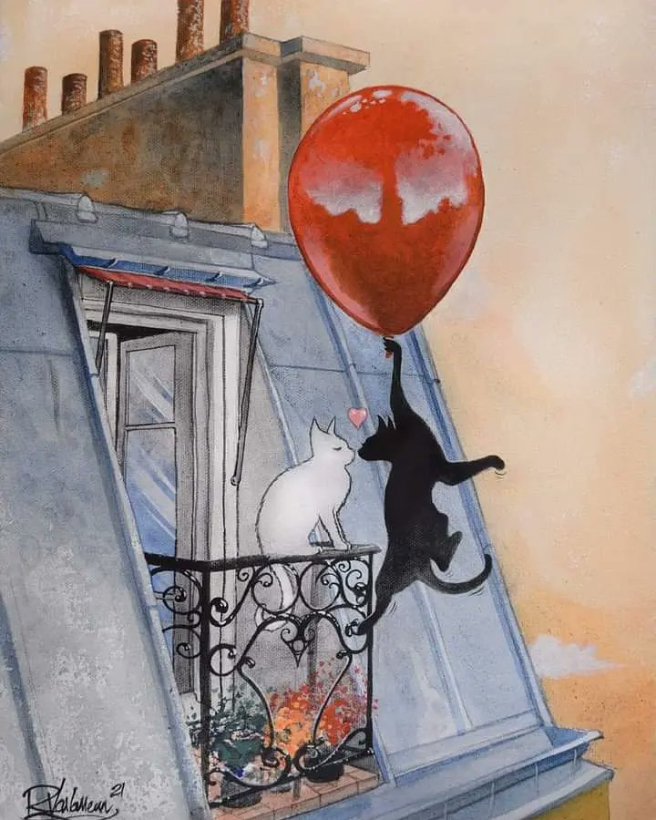 ClaudiVelasco's tweet photo. #Gatos #Cats #Mininas #Michis #Love #Octubre #Miercoles #BuenosDias https://t.co/C61x9mibGt