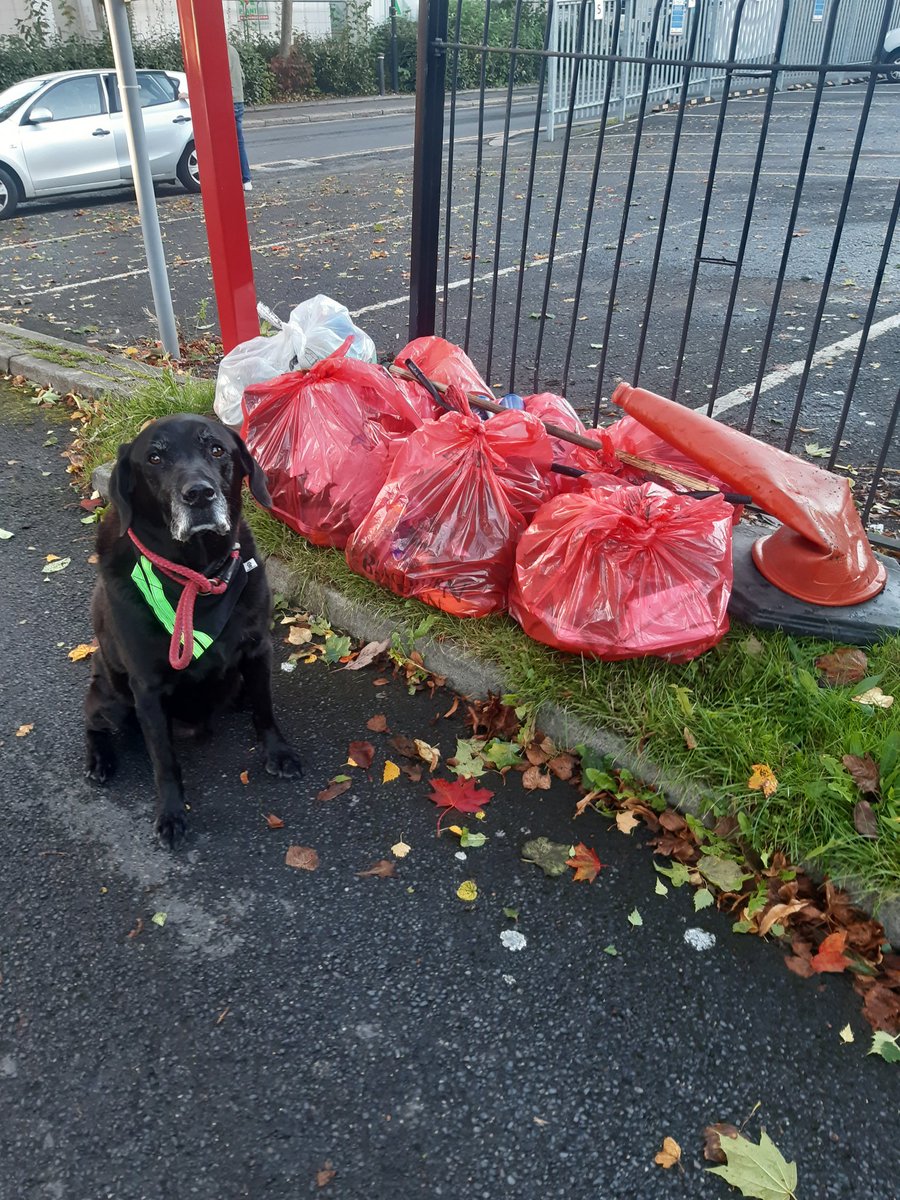 Keep Darwen Tidy π (@darwentidy) on Twitter photo Good Morning everyone π
Decided to have a look at Atlas Road car Park and had a walk up to the Railway station
6 red bags and 1 clear bag collected and 1 fly tip to report
<a href="/blackburndarwen/">Blackburn with Darwen Council</a> <a href="/KeepBritainTidy/">Keep Britain Tidy</a>
#makingadifference Good Morning everyone π
Decided to have a look at Atlas Road car Park and had a walk up to the Railway station
6 red bags and 1 clear bag collected and 1 fly tip to report
<a href="/blackburndarwen/">Blackburn with Darwen Council</a> <a href="/KeepBritainTidy/">Keep Britain Tidy</a>
#makingadifference