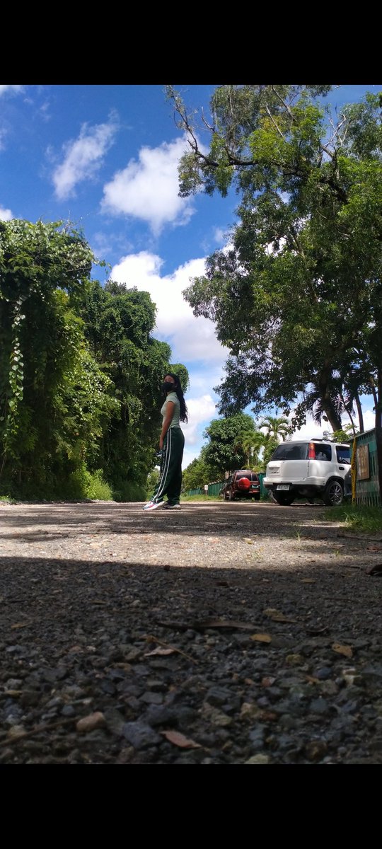 Bosaina.Fjh tweet media