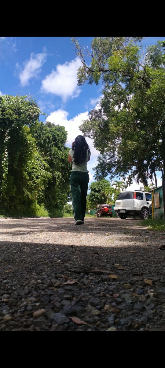 Bosaina.Fjh tweet media