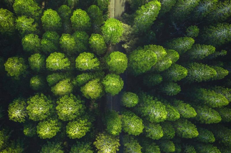 We just launched our updated <a href="/THEMA_CG/">THEMA</a> carbon price forecast. I'm excited to discuss our latest #EUETS findings later today <a href="/carbon_forward/">Carbon Forward</a> conference. If you'd like to pre-read into the main findings, have a look here: bit.ly/3BhuYKy 

#OCTT