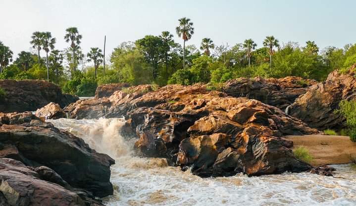 Pendjari National Park tweet media