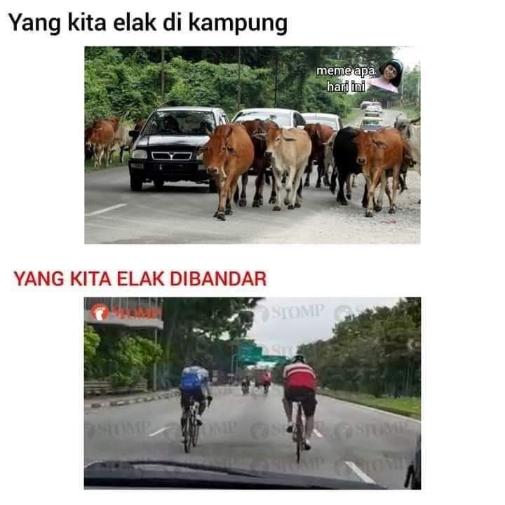 amende_sial's tweet photo. https://t.co/XTVDM2phyF