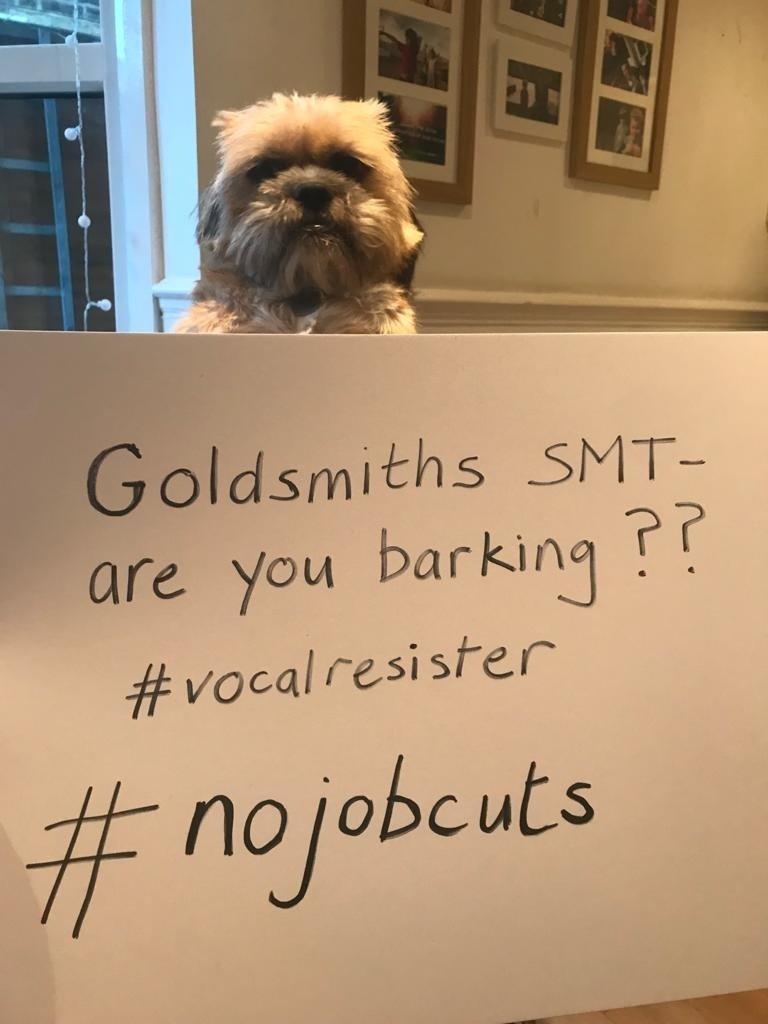 GoldsmithsUCU's tweet photo. Day 3 of our #NoJobCuts week of action. Members at @GoldsmithsUoL are asking SMT to guarantee no redundancies and for @LloydsBank and @NatWestGroup to #OpenTheBooks so we can see how much profit they're hoping to make from management's attack on the humanities. Join in! https://t.co/rhgEBr4lNA