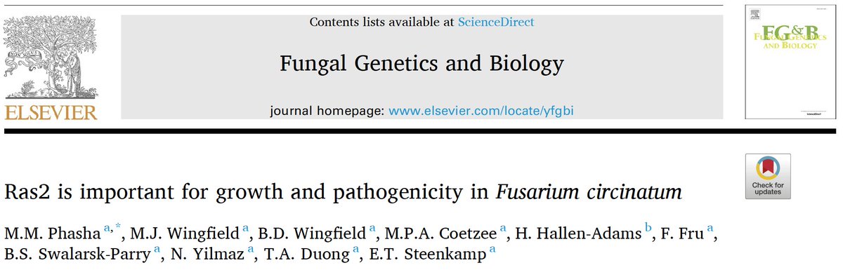 Fabiteam1's tweet photo. 🍄 This week’s #ArticleOfTheWeek is a #FunctionalGenetics study on the important plant pathogen Fusarium circinatum by Dr Phasha! 🧬
Follow this thread to see how some plant pathogens attack their hosts! 🦠 🧵
https://t.co/bK8nLVE0uJ https://t.co/oMMhTDUSng