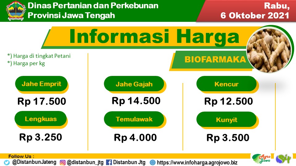 distannakjateng's tweet photo. https://t.co/KSqp4u4OBU