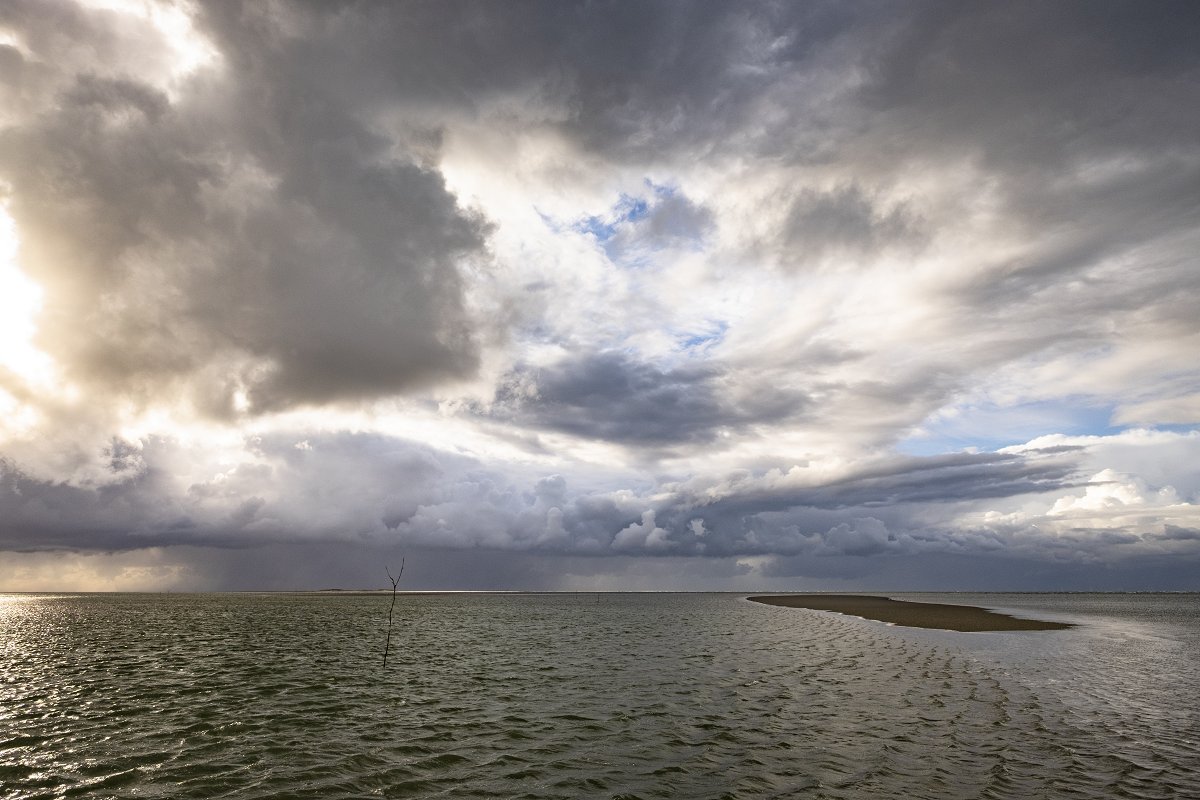 Enorme winst voor de Waddenzee! Ruim 8500 hectare Waddenzee worden voor het einde van het jaar gesloten voor de garnalenvisserij om natuurherstel mogelijk te maken. Lees hier meer: bit.ly/HerstelWaddenz…