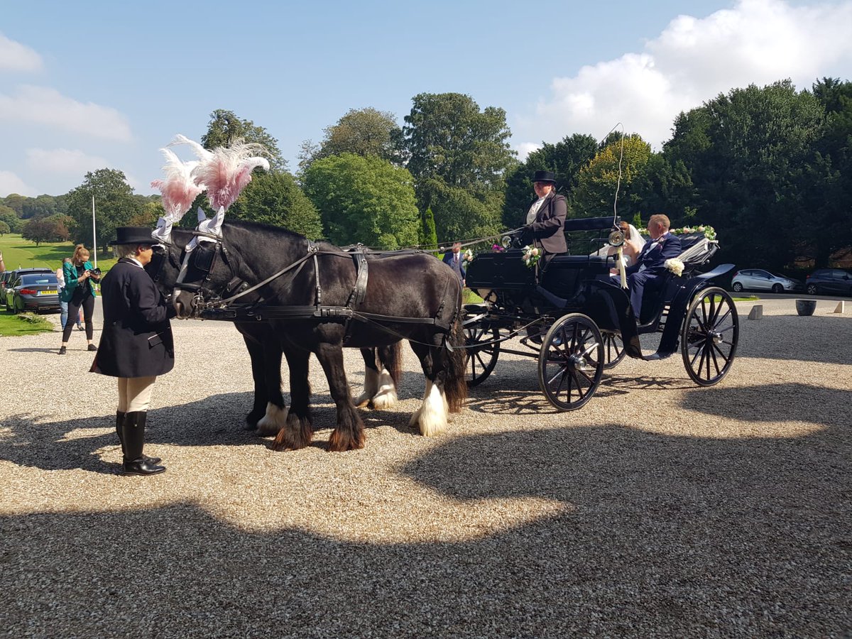 JustCarriage's tweet photo. Our stunning Victorian  carriage  available  for weddings and  events  #beautiful #wedding #weddingideas #horses #horseandcarriage
#Kent 
#broomeparkhotel https://t.co/HhZ8nnvhmi