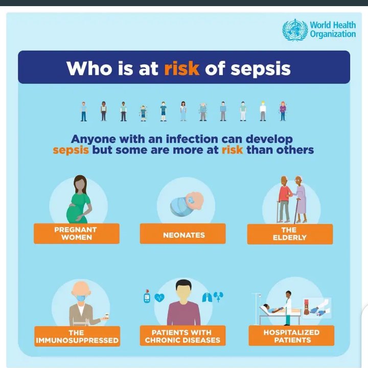 Growth mindset and fixed mindset. Immunosuppressed patients. Teachers cpd. The path to new horizons. Mobile application.