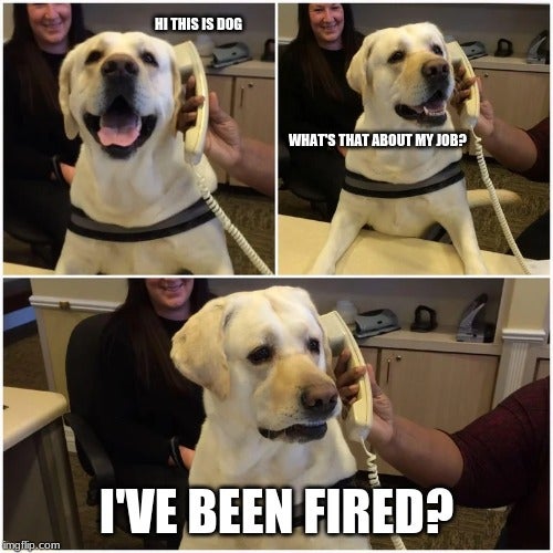 Tweetpot_'s tweet photo. It has been brought to my attention that I don't tweet very often.
Please accept this dog having a ruff day as penance. https://t.co/tWN1VXAsGE