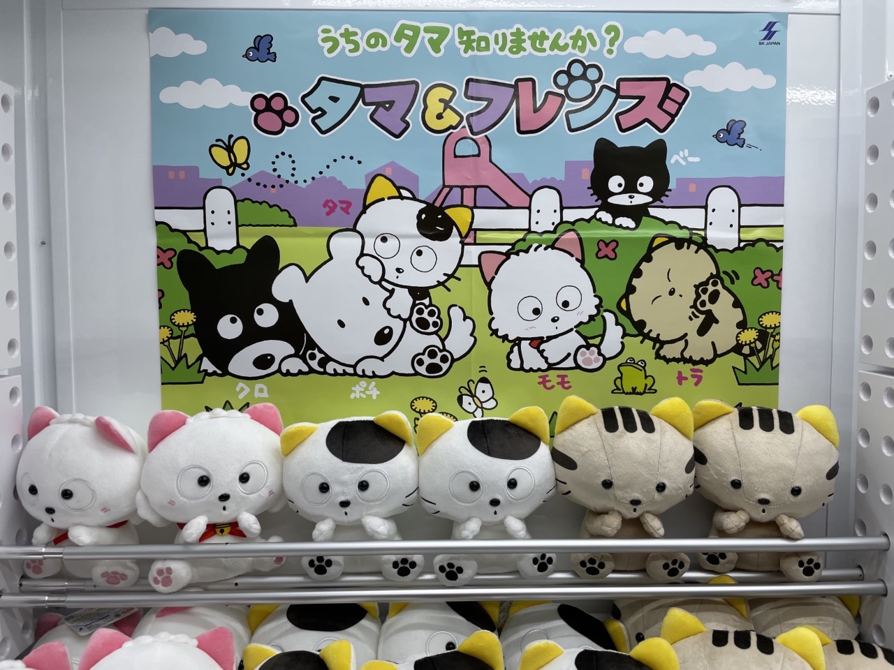 フクイレジャーランドワイプラザ店 on X: フクイレジャーランドワイプラザ店 on X: