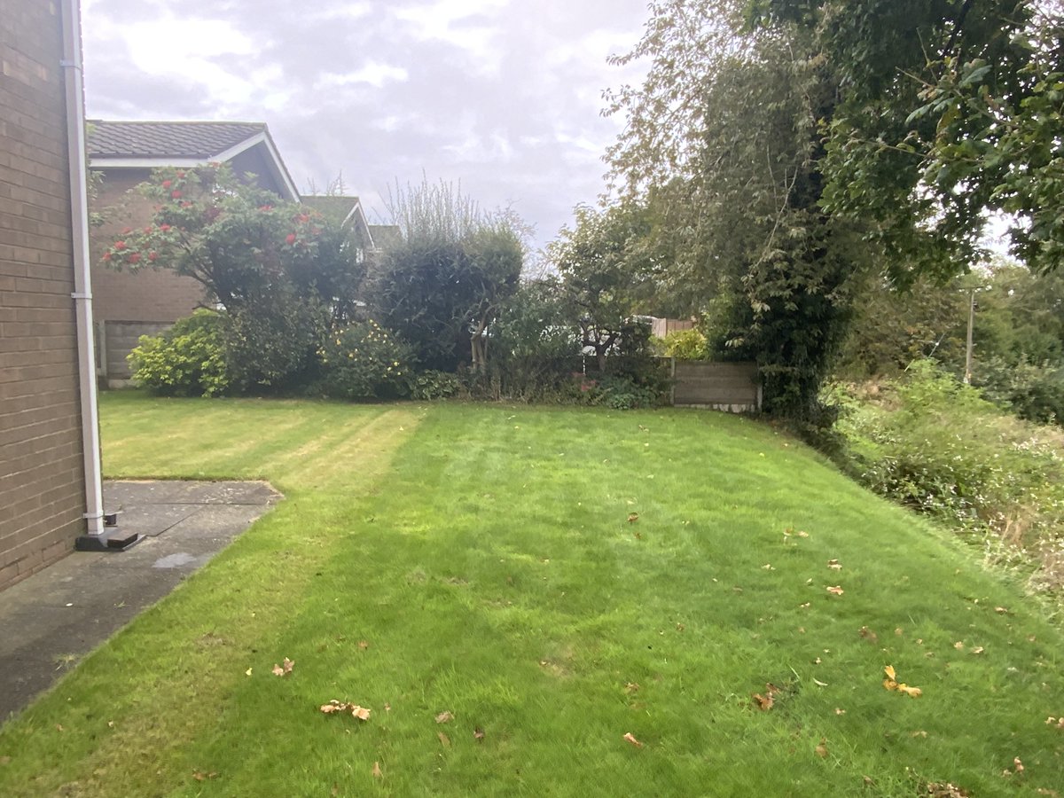 Morrison Property Services tweet media