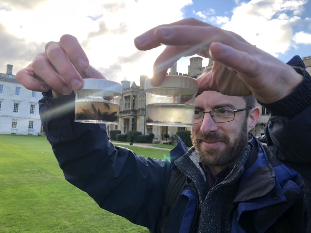 Gabriela Montejo-Kovacevich 🇪🇺 (@gmkov) on Twitter photo Morning moth and pitfall trapping with Natural Sciences students (& <a href="/pterodactylmatt/">Matt Wilkinson</a> <a href="/CicelyMarshall/">Cicely Marshall</a> <a href="/luquecm/">Carlos M Luque</a> et al.) at <a href="/Kings_College/">King's College, Cambridge</a>.
Can you guess which trap belongs to the meadow vs lawn? 🐛🪰🪱🐜🪲 Morning moth and pitfall trapping with Natural Sciences students (& <a href="/pterodactylmatt/">Matt Wilkinson</a> <a href="/CicelyMarshall/">Cicely Marshall</a> <a href="/luquecm/">Carlos M Luque</a> et al.) at <a href="/Kings_College/">King's College, Cambridge</a>.
Can you guess which trap belongs to the meadow vs lawn? 🐛🪰🪱🐜🪲