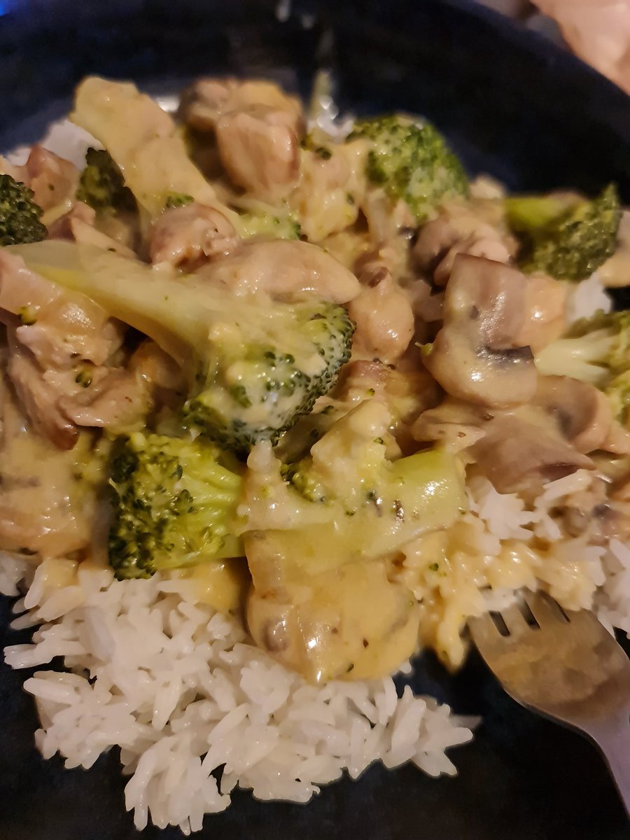 LauriaPrincessa's tweet photo. @SandroDemaio For dinner tonight (and last night) I made a quick chicken casserole with broccoli and mushrooms. So filling and delicious. https://t.co/Vl7zWioxa4