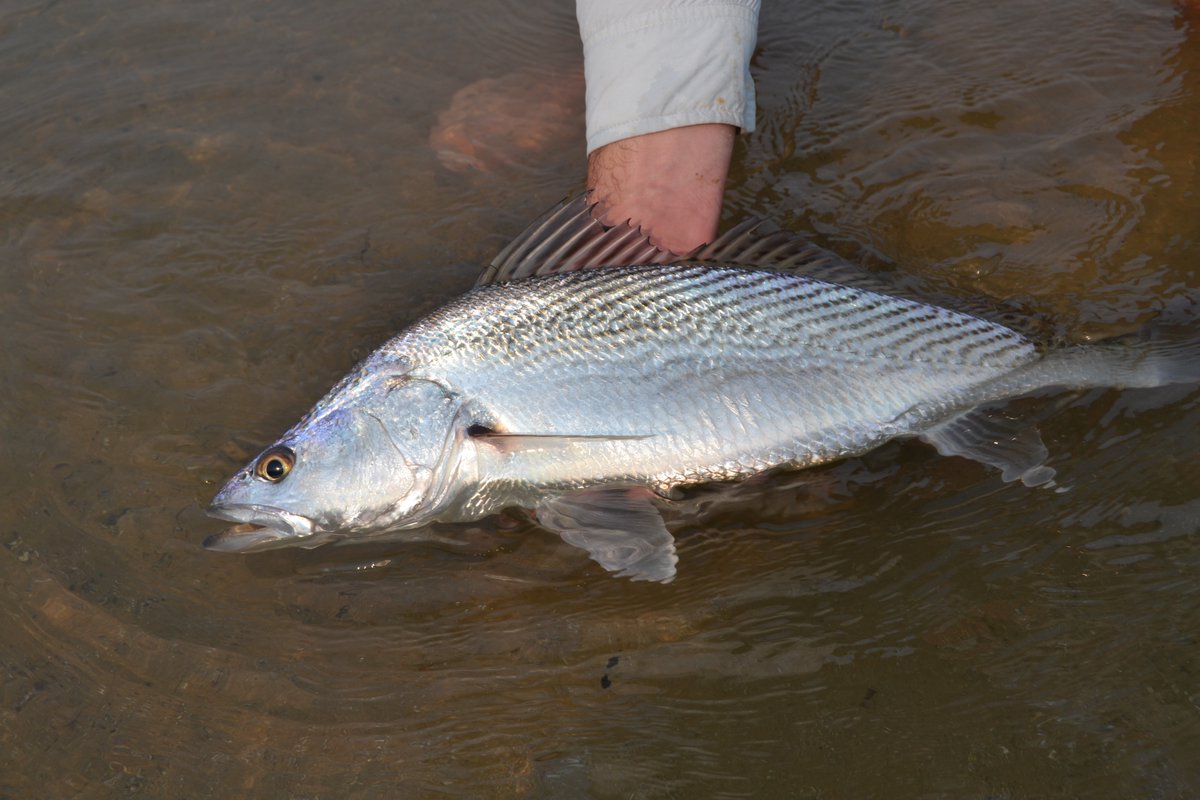 Matthew William Farthing tweet media