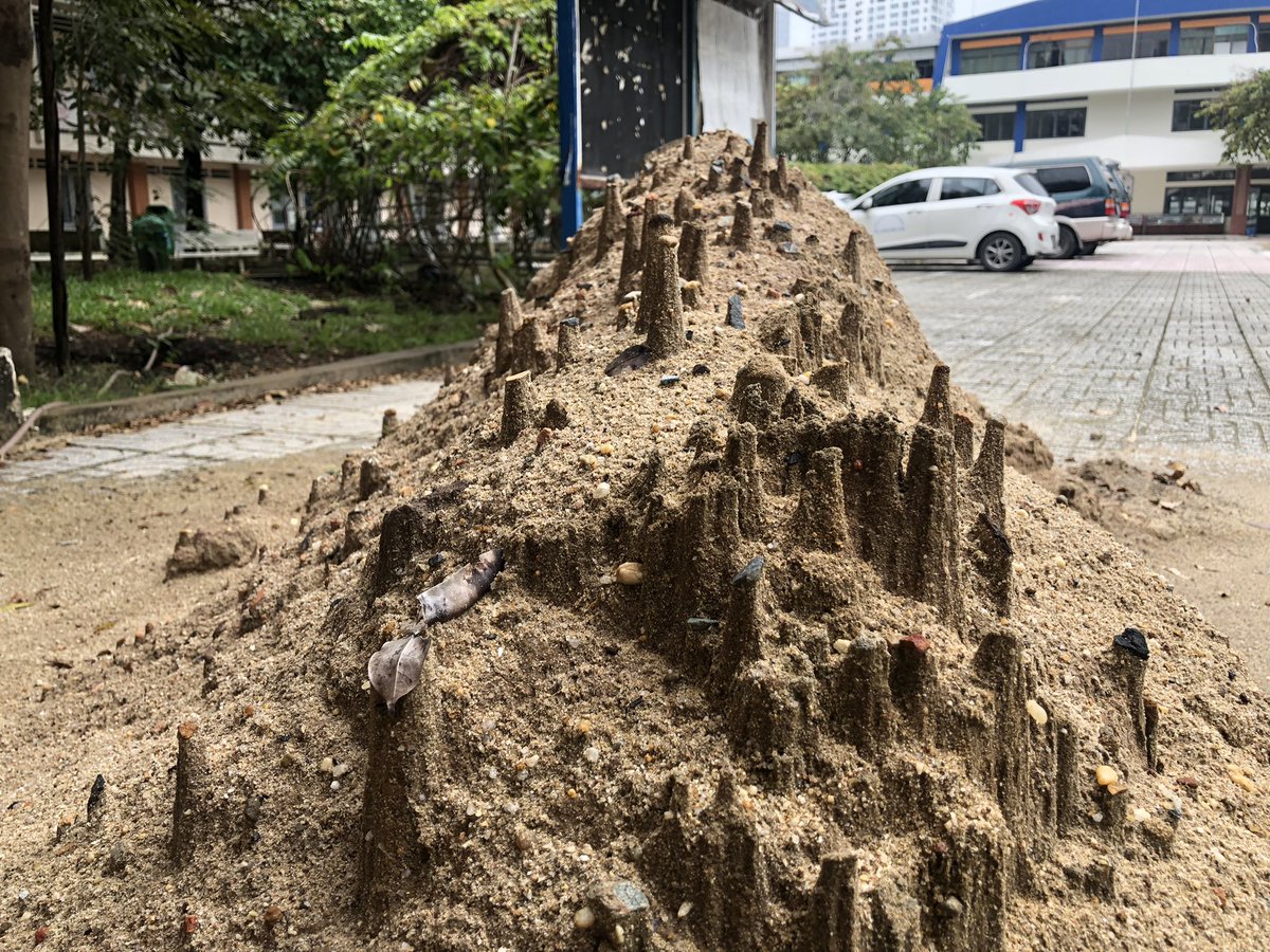 binhlegeo's tweet photo. The beauty of soil mechanics: The sand mountains formed after a rain. #geoquiz #soil #soilmechanics https://t.co/WsnabxYvgA