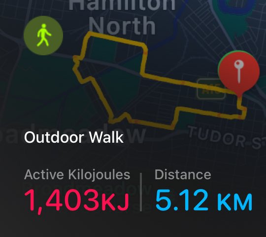 efficentnotlazy's tweet photo. 5th day of my 150k @KidneyHealth walk. Bit shorter and slower today. Felt it in the legs a bit more today. Today’s fun kidney fact - The blood flow in kidneys is higher than the blood flow in heart, liver, and brain #kidneyhealth #150kChallenge #25down #125togo https://t.co/ZHZCPnMAND