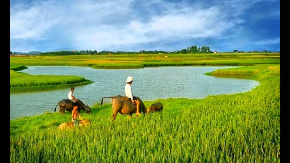 Willaims Sickles (@sickleswillaims) on Twitter photo 