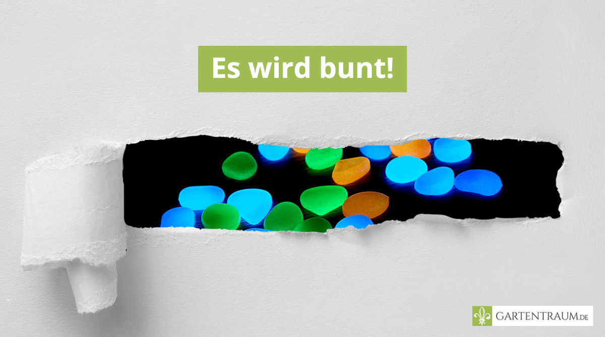 Nicht mehr lange, dann brechen kunterbunte Zeiten für Euch an! Was Euch erwartet? 😎 Nun, sagen wir: in ein paar Tagen bringen wir Licht ins Dunkel. Seid Ihr auch schon so gespannt wie wir?  
#gartentraum #cantwait #newcomer