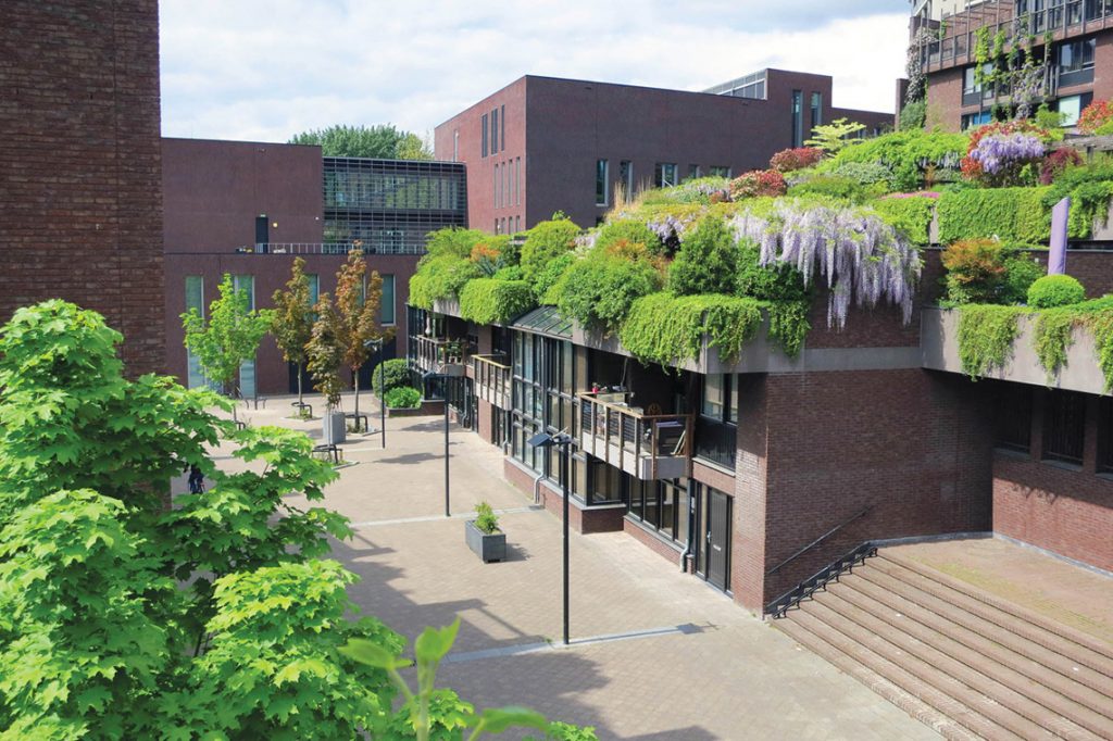 Green facades provide many benefits for buildings and their surroundings:

🌫️ Air #pollution reduction
🌡️ Temperature reduction
💧 #Water retention
🦋 Habitat provision
🔇 Natural noise protection

Find out more about the many benefits of green facades 👉 bit.ly/3DeqnZX